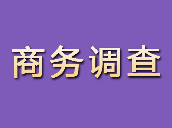 曲沃商务调查